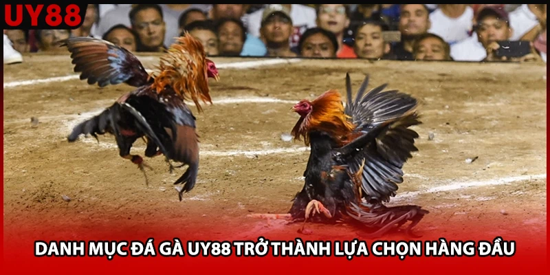 Danh mục đá gà UY88 trở thành lựa chọn hàng đầu