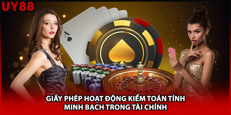 Giấy phép hoạt động kiểm toán tính minh bạch trong tài chính